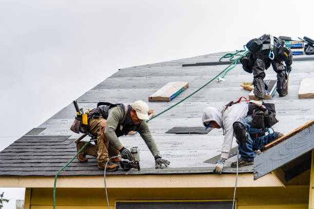 Professional Storm Damage Roof Repair technician working in Adrian, MI